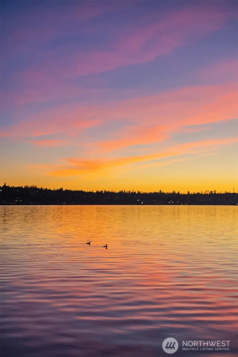 Property photo for 8025 W Mercer Way, Mercer Island photo 15