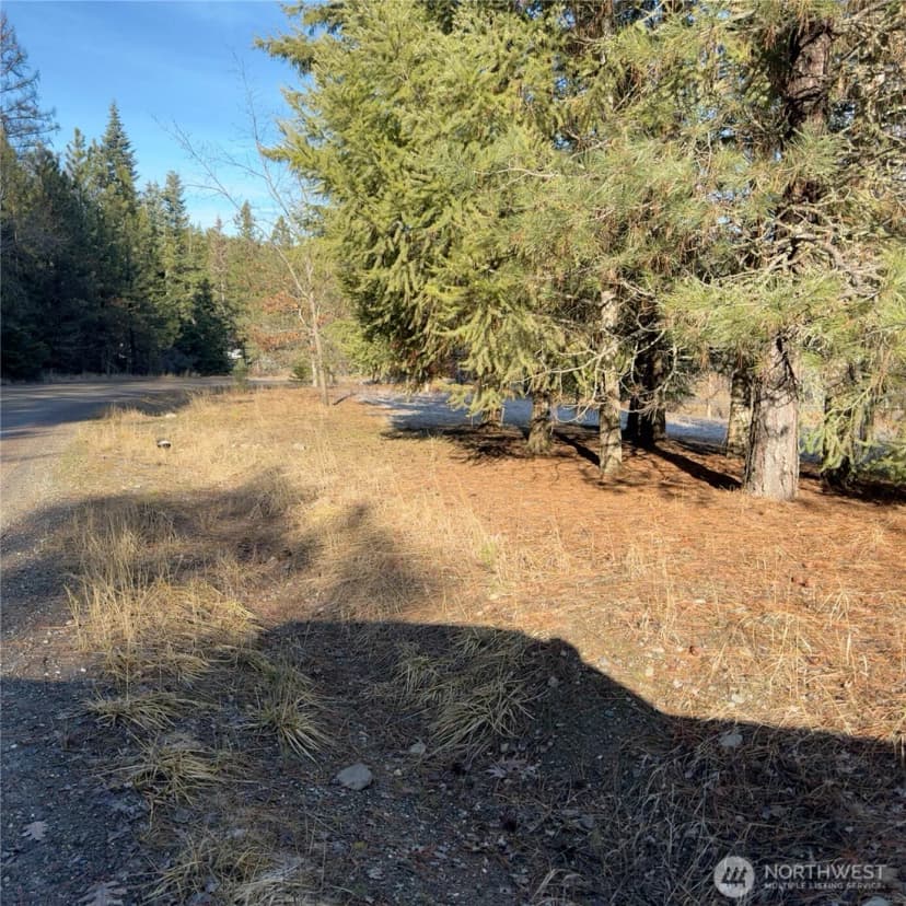 Property photo for 331 Corbett Creek Road, Colville photo 21