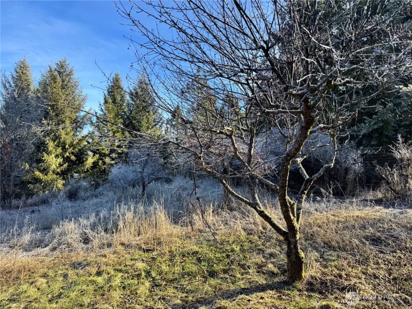 Property photo for 331 Corbett Creek Road, Colville photo 26
