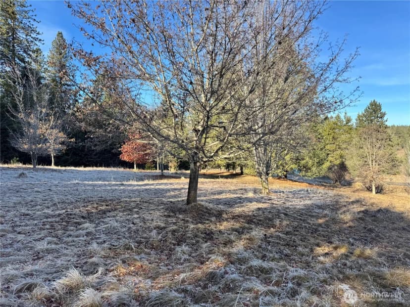 Property photo for 331 Corbett Creek Road, Colville photo 22