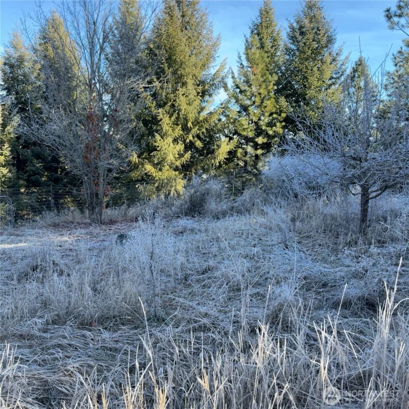 Property photo for 331 Corbett Creek Road, Colville photo 28