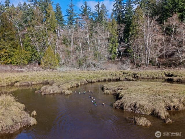 Property photo for 0 Olalla Valley Road Se, Olalla photo 4