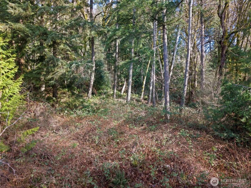 Property photo for 0 Olalla Valley Road Se, Olalla photo 13