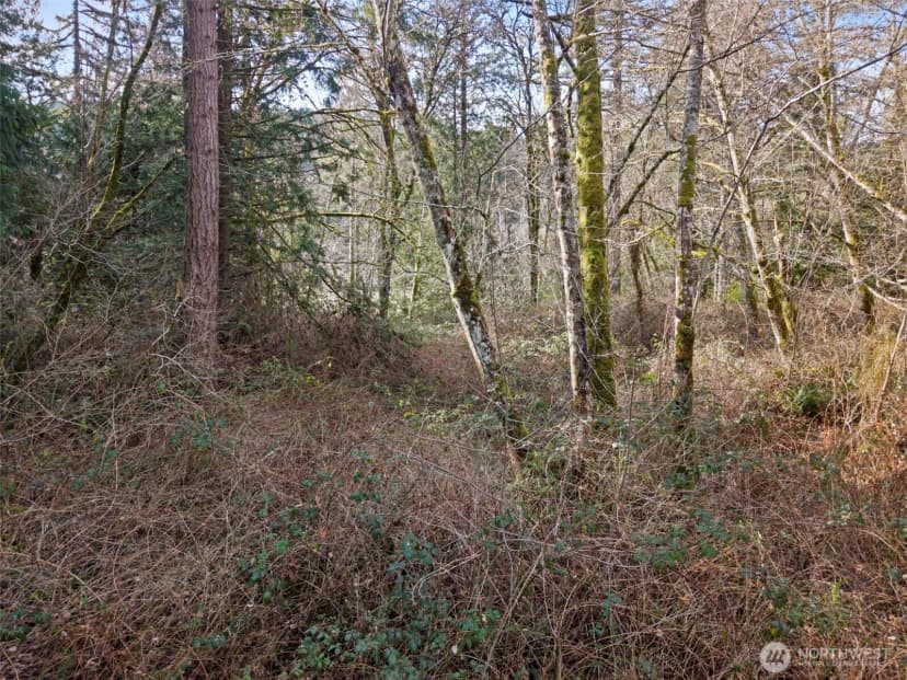 Property photo for 0 Olalla Valley Road Se, Olalla photo 11