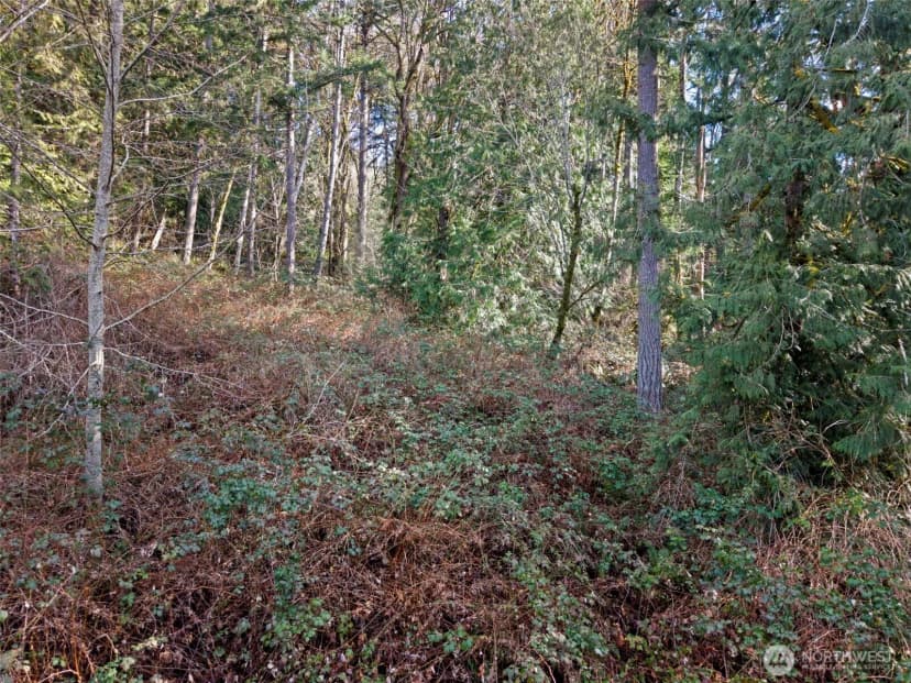 Property photo for 0 Olalla Valley Road Se, Olalla photo 12