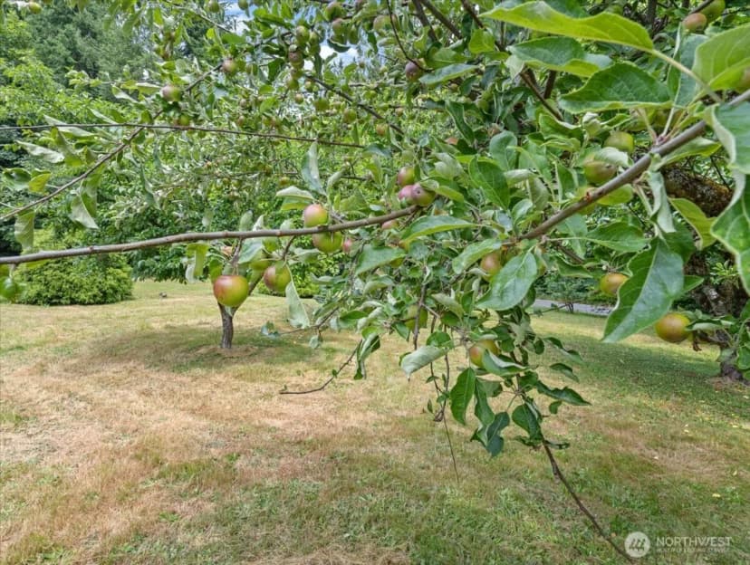 Property photo for 4154 Mt Brynion Rd, Kelso photo 24