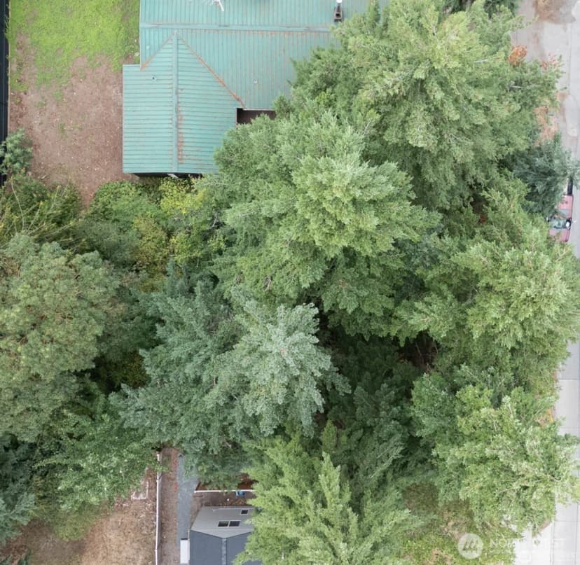 Property photo for 1111 1st Avenue Ne, Seattle photo 19