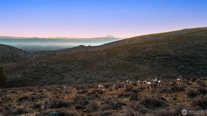 Property photo for 6083 Secret Canyon Road, Ellensburg photo 39