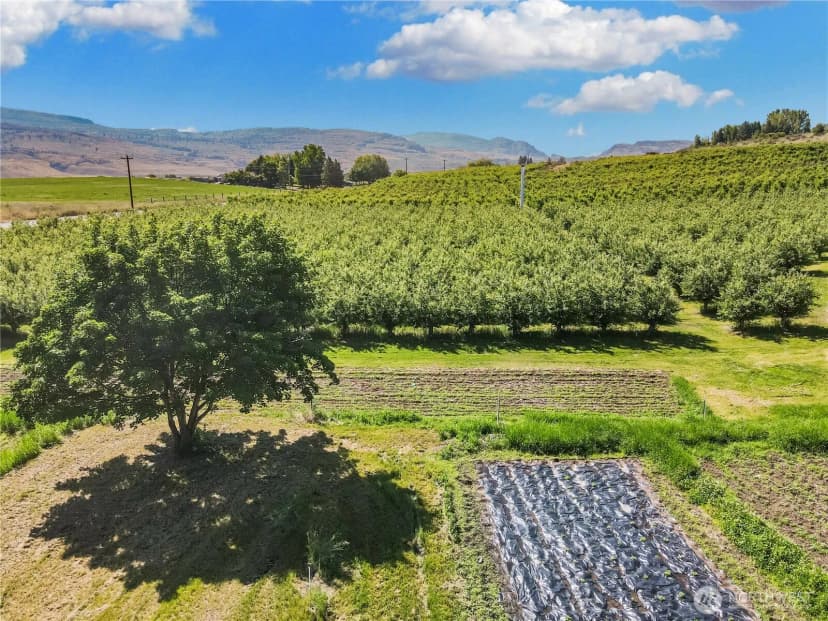 Property photo for 223 Old Riverside Hwy, Omak photo 6