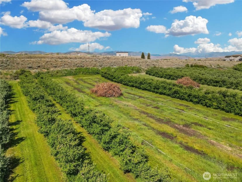 Property photo for 223 Old Riverside Hwy, Omak photo 22