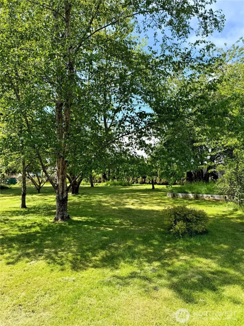 Property photo for 630 7th Street, Forks photo 28