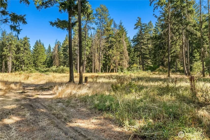 Property photo for 551 Pioneer Trail, Cle Elum photo 23