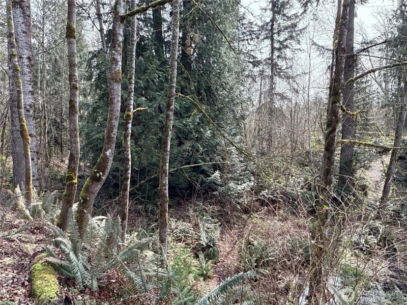 Property photo for 22 Xxx 212th Avenue Se, Maple Valley photo 13