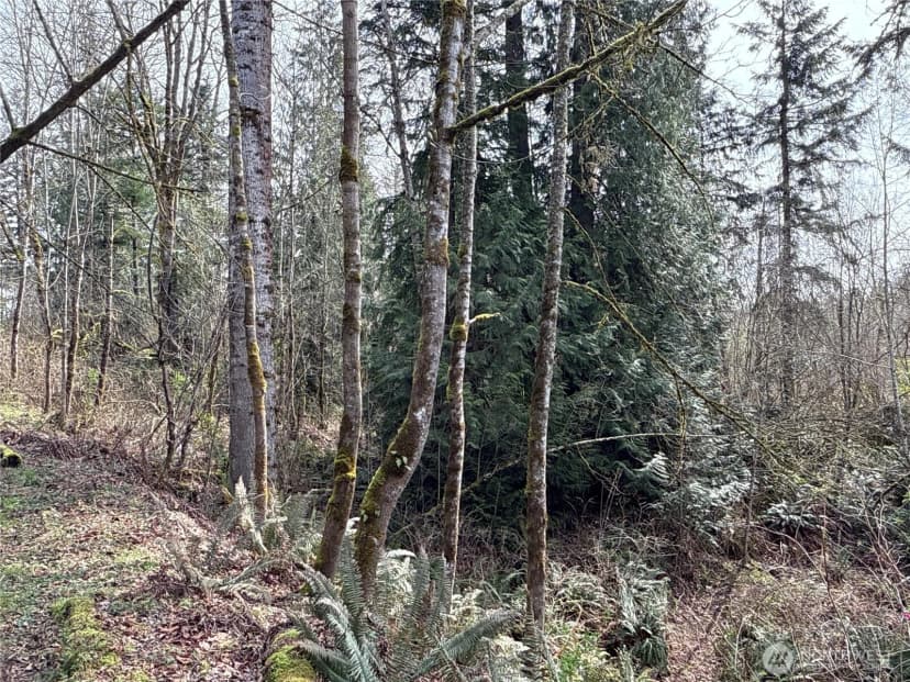 Property photo for 22 Xxx 212th Avenue Se, Maple Valley photo 12