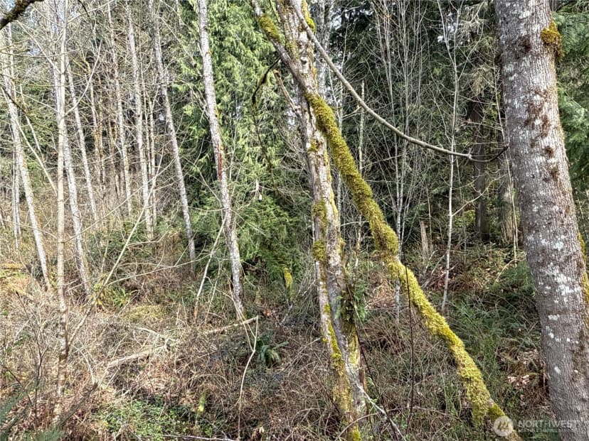Property photo for 22 Xxx 212th Avenue Se, Maple Valley photo 10