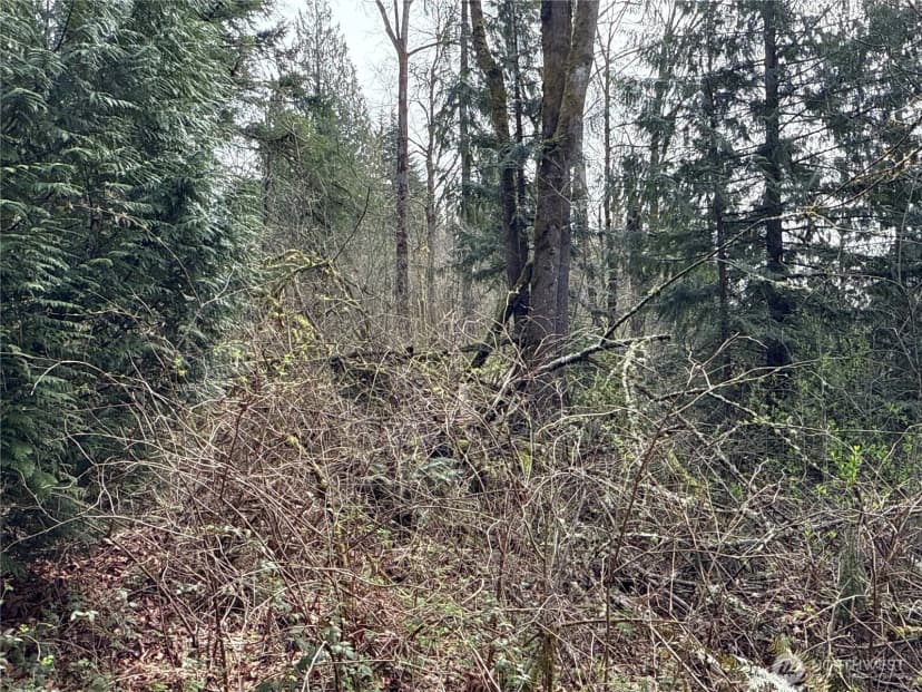 Property photo for 22 Xxx 212th Avenue Se, Maple Valley photo 20
