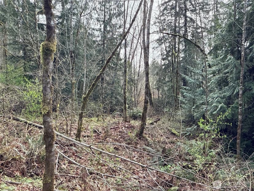 Property photo for 22 Xxx 212th Avenue Se, Maple Valley photo 21