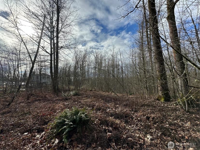 Property photo for 22 Xxx 212th Avenue Se, Maple Valley photo 27