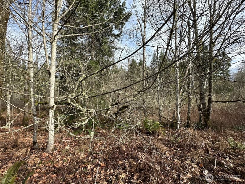 Property photo for 22 Xxx 212th Avenue Se, Maple Valley photo 24