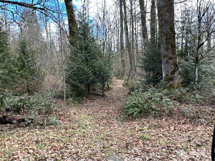 Property photo for 22 Xxx 212th Avenue Se, Maple Valley photo 16