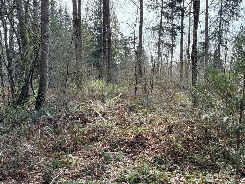 Property photo for 22 Xxx 212th Avenue Se, Maple Valley photo 15