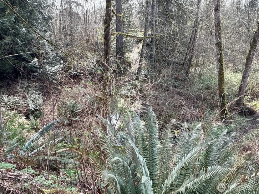 Property photo for 22 Xxx 212th Avenue Se, Maple Valley photo 14
