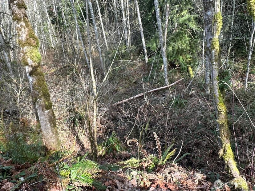 Property photo for 22 Xxx 212th Avenue Se, Maple Valley photo 26