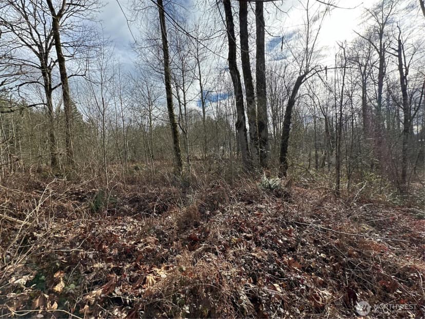 Property photo for 22 Xxx 212th Avenue Se, Maple Valley photo 18