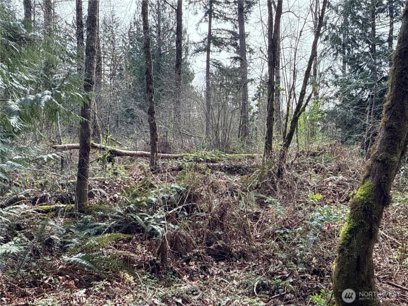 Property photo for 22 Xxx 212th Avenue Se, Maple Valley photo 11