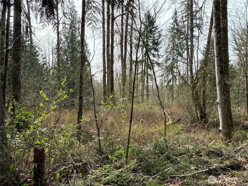 Property photo for 22 Xxx 212th Avenue Se, Maple Valley photo 9