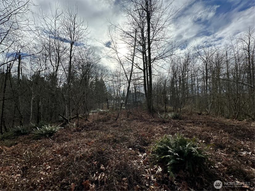 Property photo for 22 Xxx 212th Avenue Se, Maple Valley photo 28