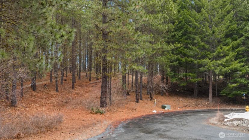 Property photo for 191 White Star Lane, Cle Elum photo 6