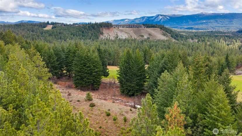Property photo for 191 White Star Lane, Cle Elum photo 11