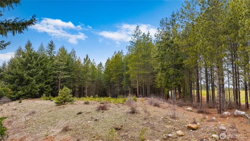 Property photo for 191 White Star Lane, Cle Elum photo 9