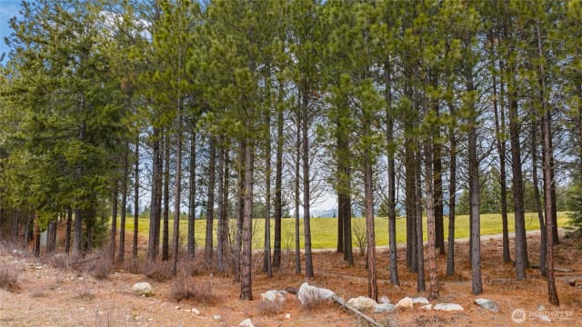 Property photo for 191 White Star Lane, Cle Elum photo 2
