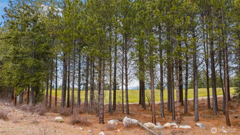 Property photo for 191 White Star Lane, Cle Elum photo 2