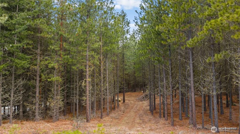 Property photo for 191 White Star Lane, Cle Elum photo 12