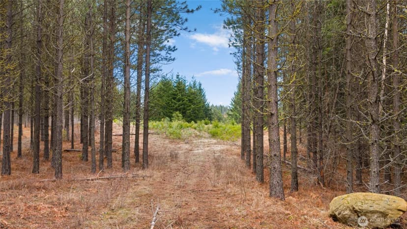 Property photo for 191 White Star Lane, Cle Elum photo 7