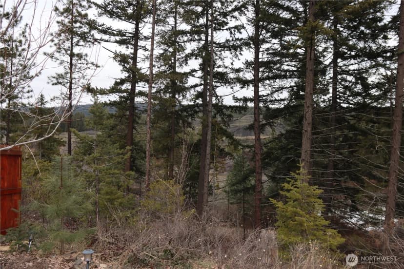 Property photo for 1602 Marian Drive, Cle Elum photo 16