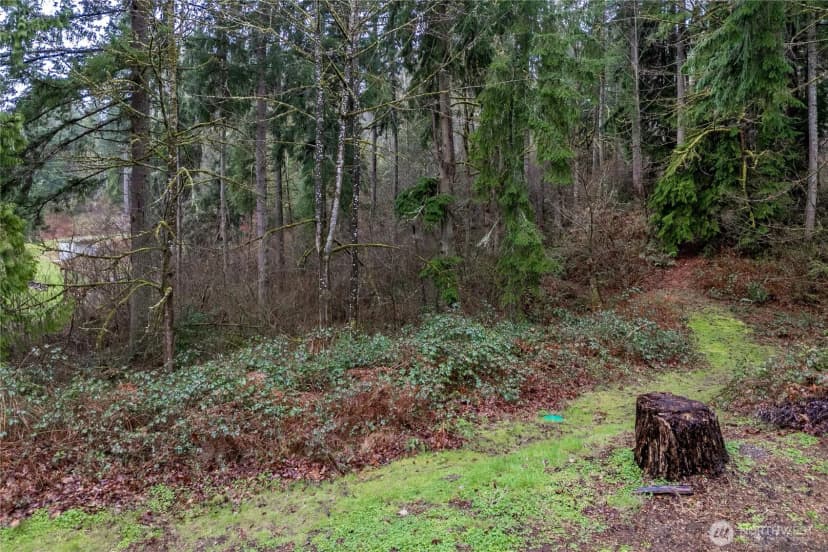 Property photo for 26510 Se 172nd Street, Issaquah photo 34