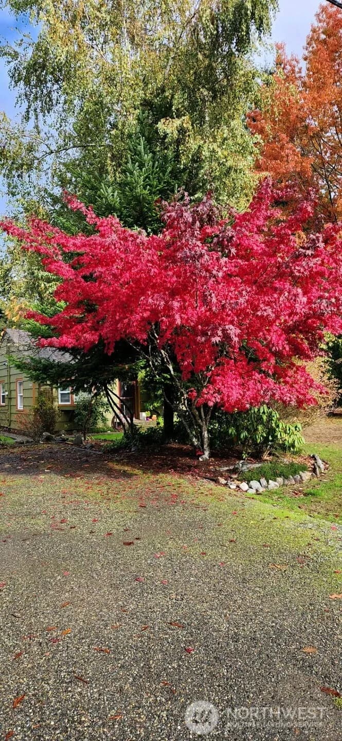 Property photo for 1912 Elliott Avenue Nw, Olympia photo 34
