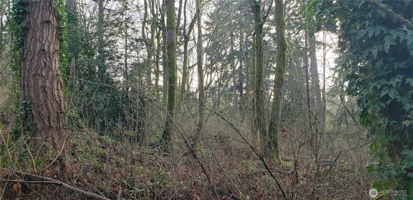Property photo for 26 Xx Sw 308th Street, Federal Way photo 24