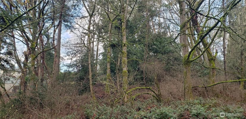 Property photo for 26 Xx Sw 308th Street, Federal Way photo 19