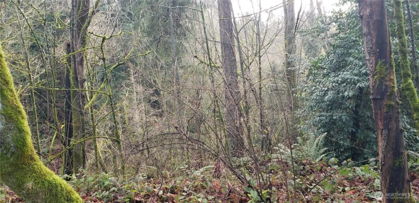 Property photo for 26 Xx Sw 308th Street, Federal Way photo 15