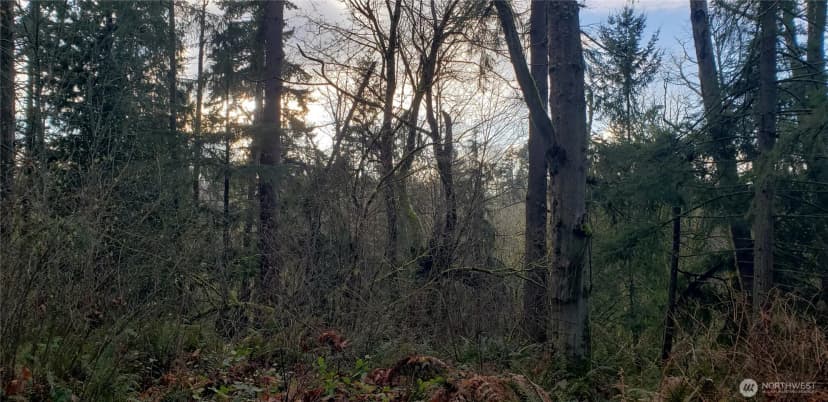 Property photo for 26 Xx Sw 308th Street, Federal Way photo 9