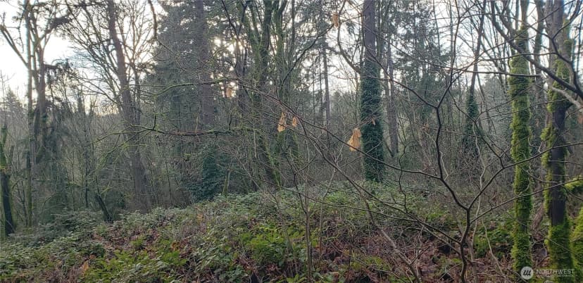 Property photo for 26 Xx Sw 308th Street, Federal Way photo 21