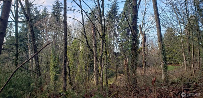 Property photo for 26 Xx Sw 308th Street, Federal Way photo 10