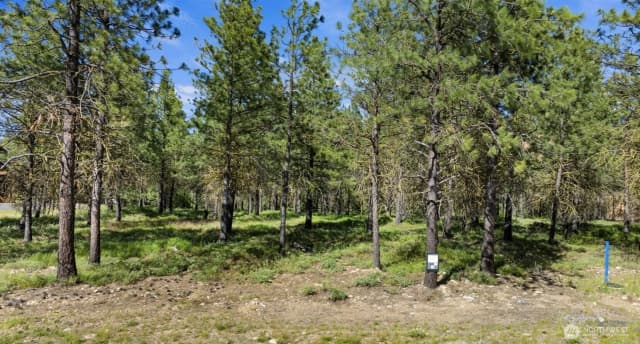 Property photo for 46 Southern Star Lane, Cle Elum photo 3