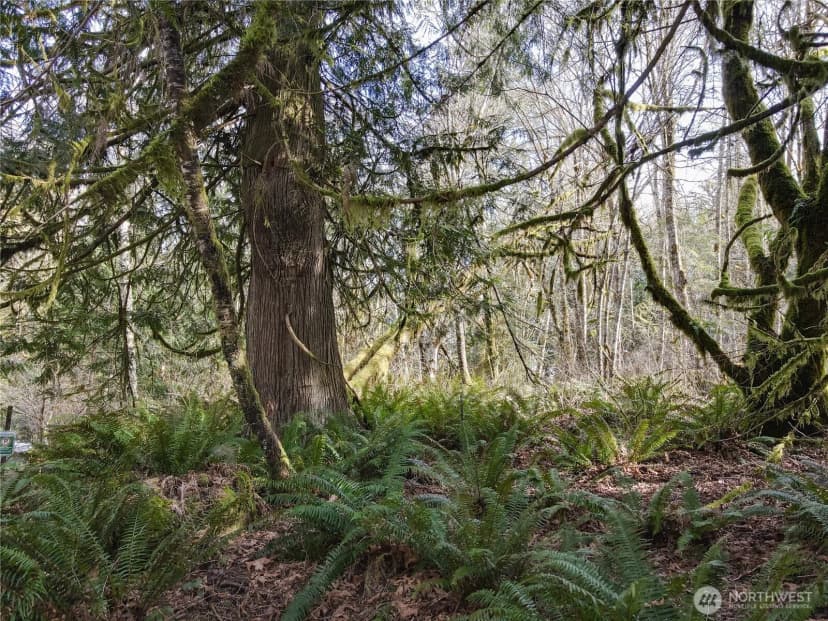 Property photo for 12402 131st Street Nw, Gig Harbor photo 8