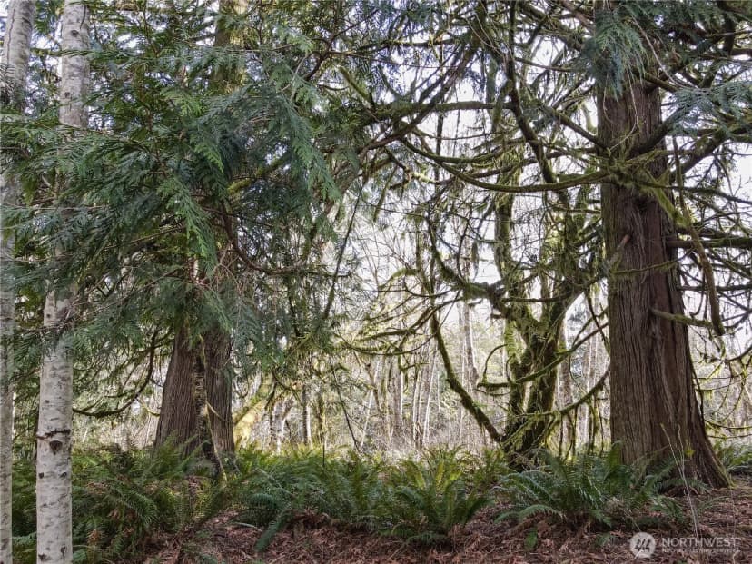 Property photo for 12402 131st Street Nw, Gig Harbor photo 7